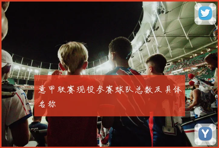 意甲联赛现役参赛球队总数及具体名称