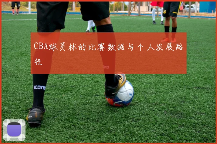 CBA球员林的比赛数据与个人发展路径