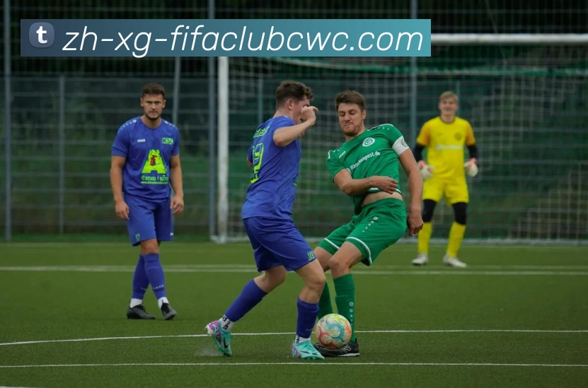 世界杯平台发展历程